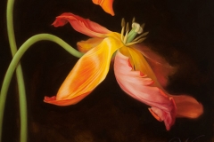 Botanical paintings